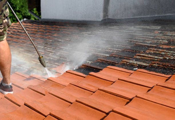 Best Pressure Washing Services Near Me  in Concordia, NJ